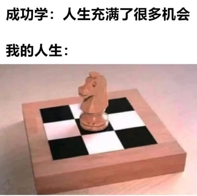 这是一张反差类自嘲梗图，采用上下对比的图文混排形式：上方用文字呈现成功学的观点“成功学：人生充满了很多机会”，代表着鸡汤式的、理想化的人生机遇认知；下方文字“我的人生：”搭配一个尺寸极小的国际象棋棋盘，棋盘上仅有一枚国际象棋的马（骑士）棋子。由于国际象棋的马遵循“走日”的规则移动，而这个小棋盘的空间完全不足以支持马完成移动，以此具象化地比喻自己的人生没有可供施展的空间，不存在可以把握的机遇，与成功学宣扬的观点形成强烈反差，用幽默且直观的方式吐槽现实中个人发展受限、理想与现实落差巨大的无奈处境，引发共鸣。