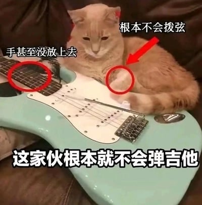 这是一张趣味十足的文字加注静态图，画面主体是一只橘色猫咪，它趴在一把薄荷绿色的电吉他上，姿态看起来仿佛正在弹奏吉他。但图中用红色圆圈分别圈出猫咪的爪子和吉他指板，搭配箭头和文字“手甚至没放上去”“根本不会拨弦”，底部还有醒目的大字“这家伙根本就不会弹吉他”，以幽默的方式拆穿猫咪“假弹”的状态，通过这种反差感制造出搞笑的效果，展现出宠物的可爱有趣瞬间。