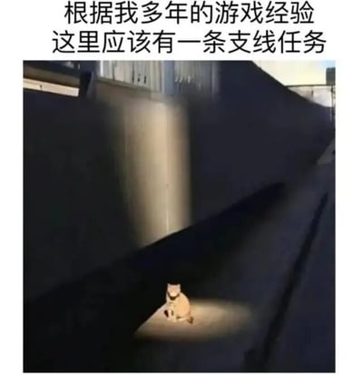 图片上方配有文字'根据我多年的游戏经验 这里应该有一条支线任务'，下方是一张实拍照片：一只橘猫独自坐在狭窄的巷弄中，阳光从上方照射形成聚光效果，仿佛游戏中触发支线任务的经典场景。这种构图巧妙结合了现实场景与游戏玩家的联想，幽默地表现出游戏经验对现实观察的'干扰'。