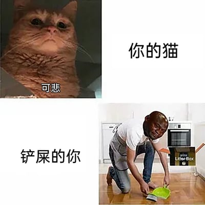 这是一张上下分栏的对比梗图，左上部分是一只眼神哀怨、表情委屈的橘猫，配文“你的猫”和“可悲”，营造出猫主子仿佛在嫌弃生活的傲娇感；右下部分是一个被替换成黑人悲伤哭泣脸的人物，穿着围裙单膝跪地，手持铲屎工具，旁边标注有猫砂盆，配文“铲屎的你”，生动展现了养猫人作为铲屎官辛苦伺候猫主子的真实日常。整张图通过强烈的反差感，幽默调侃了猫和铲屎官之间“主仆颠倒”的有趣关系，精准戳中猫奴们的日常痛点，充满搞笑氛围。