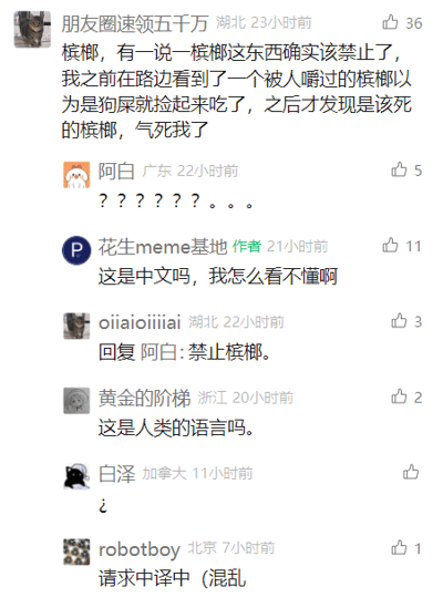 这是一张社交媒体评论区的截图，用户“朋友圈速领五千万”发布了一段逻辑完全混乱的吐槽内容，称自己误将路边被人嚼过的槟榔当成狗屎捡起来吃了，因此得出槟榔应该被禁止的结论，这种不合逻辑的因果关系和离谱的经历让其他网友感到费解，纷纷在评论区表示看不懂这段表述，有网友发出一连串问号，有作者账号质疑这是不是中文，还有网友直接回复“禁止槟榔”，甚至有网友请求“中译中”，整体内容充满荒诞的搞笑感，引发了互动讨论。