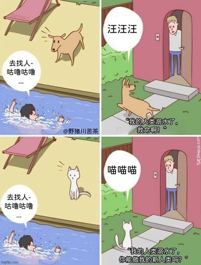 这是一组由四格漫画组成的上下对比图，分为狗狗和猫咪两个场景。上半部分场景中，主人在泳池溺水，挣扎着发出“去找人-咕噜咕噜…”的求救声，狗狗见状立刻急切地跑向门口，对着开门的人“汪汪汪”大叫，内心想法是“我的人类溺水了，救命啊！”，展现出狗狗的忠诚和急切；下半部分场景中，同样是主人溺水求救，猫咪则平静地走到门口，对着开门的人“喵喵喵”叫着，内心想法却是“我的人类溺水了，你能做我的新人类吗？”，用猫狗截然不同的反应制造出强烈的反差感，调侃了大众认知里猫咪冷漠、现实的刻板印象，以此产生幽默效果。