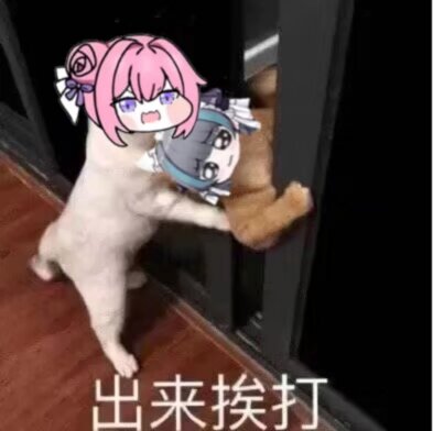 Doro猫版出来挨打表情包