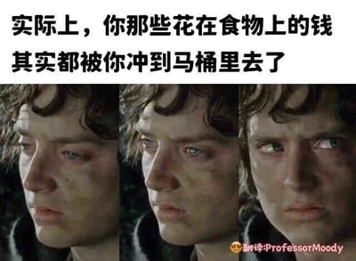 这是一张顶配底文的多图拼接梗图，顶部配有扎心调侃文字“实际上，你那些花在食物上的钱其实都被你冲到马桶里去了”，下方拼接了三张经典奇幻电影《指环王》中主角弗罗多的剧照截图，依次展现出弗罗多从落寞低落、逐渐反应过来，到最终满脸震惊不敢置信的表情变化。该图用夸张直白的方式调侃人们投入在食物上的钱财，最终会随着食物被消化排出体外而“付诸东流”，精准戳中人们对日常饮食消费的扎心感悟，容易引发大众共鸣。