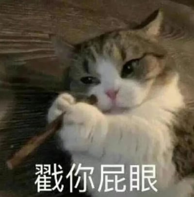 图片中一只灰白相间的猫咪正用前爪抱着一根细长的木棍，眼神半眯，表情略带狡黠，似乎在准备进行调皮的动作。图片底部有白色加粗文字“戳你屁眼”，整体画面幽默诙谐，常被用于朋友间的玩笑调侃或表达调皮的意图。