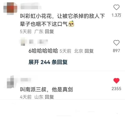 这张图片展示了一组社交平台上的热门评论截屏，评论内容涉及起名字的幽默玩梗。第一个评论者建议将武器命名为“彩虹小花花”，含有反差萌的双关意味，说即使被这样可爱的名字杀死仇人也咽不下这口气，调侃气氛十足，还配了卖萌表情。下方有人跟帖哈哈大笑。第三条评论引入另一种幽默，将“南派三叔”这个作家和“真剑”做文字双关，玩梗效果明显。整体风格轻松、搞笑、带有网络玩梗式的无厘头，适合年轻人嬉笑吐槽的语境。

*双关玩梗说明：*
- “彩虹小花花”以可爱的名字命名武器形成巨大反差。
- “南派三叔，他是真剑”把作家和“真·剑”谐音混用，实现文字游戏。