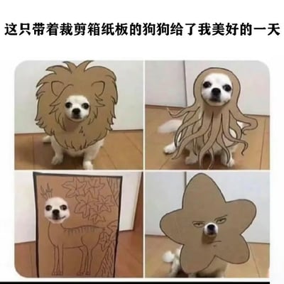 这是一张由四格静态图拼接而成的趣味宠物图，画面主体是一只白色的小型犬，主人利用废弃纸箱裁剪出不同的创意造型纸板，为小狗进行趣味变装：左上角的纸板是狮子的鬃毛造型，小狗的头部从鬃毛中间露出，仿佛一只小狮子；右上角是章鱼造型纸板，小狗的头从章鱼头部位置探出，触手造型的纸板环绕在小狗身体周围；左下角是小鹿的纸板画，小狗的头对应小鹿的头部位置，搭配纸板上的小鹿身体和背景花纹；右下角是带有嫌弃表情的海星造型纸板，小狗的鼻子和嘴巴从海星的脸部位置露出，造型滑稽有趣。图片上方配有文字“这只带着裁剪箱纸板的狗狗给了我美好的一天”，这种低成本的创意变装充满治愈感，能让人感受到轻松愉快的氛围。