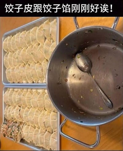 这是一张玩反差梗的生活类搞笑图，配文写着「饺子皮跟饺子馅刚刚好诶！」，但实际画面里，装饺子馅的金属锅已经干干净净空无一馅，下方托盘里却还剩着一摞没包的饺子皮，用这种「说一套做一套」的反差，戳中很多人包饺子时馅不够/皮剩了的真实小状况，制造出接地气的搞笑效果。