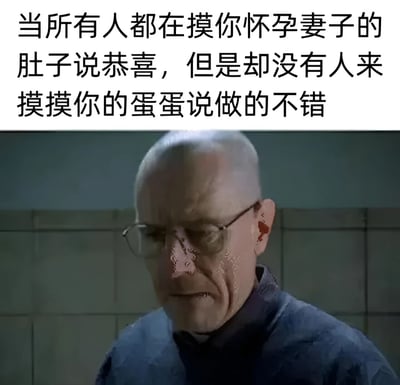 图片上半部分是黑色文字："当所有人都在摸你怀孕妻子的肚子说恭喜，但是却没有人来摸摸你的蛋蛋说做的不错"。下半部分是《绝命毒师》中沃尔特·怀特的截图，他戴着眼镜，表情严肃，背景是灰色瓷砖墙。这张梗图通过对比人们对怀孕妻子和丈夫的不同态度，制造出一种黑色幽默效果。