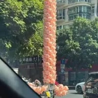 这是一张从车内视角拍摄的城市街景照片，画面中心的立柱被大量粉色玫瑰类鲜花密集地包裹起来，立柱底部也环绕着一圈同款鲜花，在普通的城市街道中显得格外醒目。背景里能看到枝繁叶茂的绿树、高层居民楼以及街边的商铺，整体场景充满日常感，而鲜花装饰的立柱又为这份日常增添了浪漫治愈的氛围。