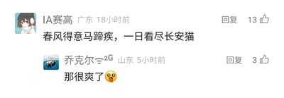 这是一张横版的社交媒体评论区截图，展示了两条用户评论的趣味互动。第一条评论来自IP归属地为广东、网名为“IA赛高”的用户，发布于18小时前，内容是改编自唐代诗人孟郊《登科后》中的名句“春风得意马蹄疾，一日看尽长安花”，将句中的“长安花”替换为“长安猫”，打造出爱猫人士想象中一日看遍长安所有猫咪的趣味场景，这条评论收获了13个点赞。第二条评论来自IP归属地为山东、网名为“乔克尔⇋²ᴳ”的用户，发布于5小时前，内容为“那很爽了”并搭配一个双眼圆睁、张嘴惊讶兴奋的表情，是对第一条评论中趣味场景的共鸣回应，该评论获得了3个点赞。截图中还显示了用户的头像、IP归属地、发布时间、点赞数和回复按钮等社交媒体评论区的常规元素。