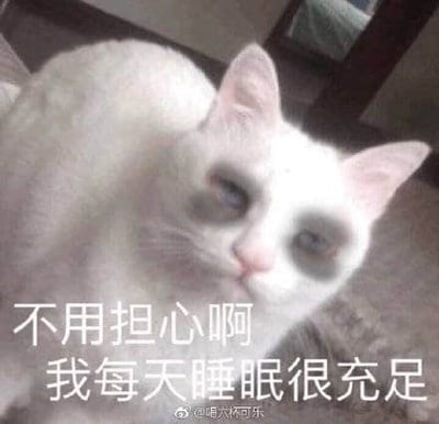 图片中是一只白色猫咪，双眼下方有明显的黑眼圈，表情淡定地抬头看向镜头。图片底部配有文字“不用担心啊 我每天睡眠很充足”，形成猫咪外表（黑眼圈暗示睡眠不足）与文字内容（声称睡眠充足）之间的幽默反差，整体风格轻松搞笑。