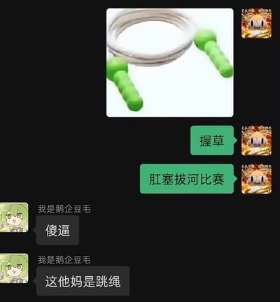 这是一张网络聊天记录截图，聊天中用户“王从天降，愤怒狰狞”首先发出一张两端为绿色手柄、中间为金属绳的跳绳图片，随后因外观联想错误，误以为该物品是肛塞拔河比赛的道具，发出惊讶感慨；另一位用户“我是鹅企豆毛”先对其错误认知进行吐槽，随后指出该物品实际是普通跳绳，二者的对话形成强烈的搞笑反差感。
