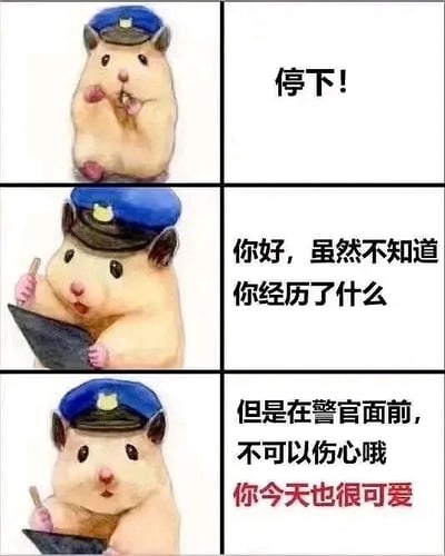 这是一组由三张图片拼接而成的连环静态图，采用图文混排的形式，主角是一只戴着蓝色警官帽的卡通仓鼠。第一张图中，仓鼠双手放在嘴边，做出喊话的动作，配文“停下！”，营造出急切叫停的氛围；第二张图里，仓鼠手持纸笔，做出记录的姿态，配文“你好，虽然不知道你经历了什么”，传递出温和关切的态度；第三张图中，仓鼠看向镜头，配文“但是在警官面前，不可以伤心哦 你今天也很可爱”，用温柔坚定的话语安慰情绪低落的人。整体画面风格可爱治愈，通过拟人化的仓鼠警官形象，以暖心的文字内容给人带来情绪上的慰藉，适合用来安抚处于负面情绪中的人。