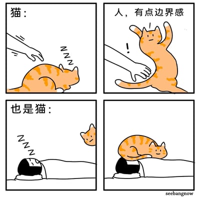 这是一组四格连环漫画，用反差感展现猫咪的双标行为：第一格中，一只橘色斑纹猫正熟睡，人类的手准备触碰它；第二格猫咪立刻起身，张开爪子，配文“人，有点边界感”，表现出猫咪被打扰时对边界感的强烈要求；第三格切换场景，人类正熟睡，猫咪悄悄从一旁靠近；第四格猫咪直接趴在人类的头上，配文“也是猫：”，形成鲜明反差，讽刺猫咪自己需要绝对的边界感，却完全无视人类的边界，用幽默的方式还原了宠物和主人相处时的真实趣事，戳中养猫人的共鸣点。
