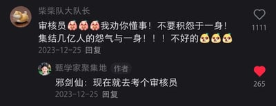 这是一张社交媒体评论区的静态截图，展示了一段趣味玩梗的评论互动。用户“柴柴队大队长”发布评论，搭配委屈、发愁的表情，用略带调侃的语气说道：“审核员🥺🥺🥺我劝你懂事！不要积怨于一身！集结几亿人的怨气与一身！！！不好的😣😣😣”，以此调侃审核员在工作中会接触到大量网友因内容被审核而产生的负面情绪；账号作者“甄学家聚集地”则结合《仙剑奇侠传三》里邪剑仙的设定玩梗，回复道：“邪剑仙：现在就去考个审核员”，由于邪剑仙的核心设定是吸收天地间的怨气来增强自身力量，这个回复将审核员会接触大量怨气的特点与邪剑仙的能力结合，形成了趣味十足的梗。两条评论的点赞数分别为1111和265，说明该互动内容的趣味性获得了不少网友的认可。