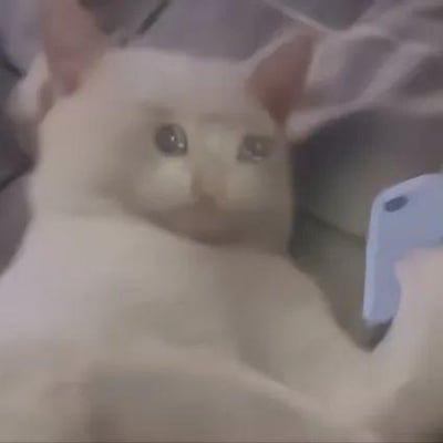 一只浅色猫咪躺在柔软的布料上，前爪似乎正举着一部浅蓝色的手机，头部微微倾斜，睁大圆溜溜的眼睛看向镜头，表情呆萌可爱，仿佛在自拍。画面整体温馨治愈，充满生活气息。