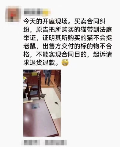 社交媒体帖子内容，上方文字描述一起买卖合同纠纷的开庭现场：原告因购买的猫不会捉老鼠，认为出售方交付的标的物不合格，遂将猫带到法庭举证并起诉请求退货退款。下方配图为法庭实景照片，可见地板上有一只猫和一只老鼠，一名工作人员正从门口走入。整体内容因“猫上法庭举证”的荒诞场景而带有搞笑意味。