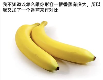 这是一张充满冷幽默的网络梗图，图片上方配有旁白文字“我不知道该怎么跟你形容一根香蕉有多大，所以我又加了一个香蕉来作对比”，画面主体是两根外观、尺寸都十分相近的黄色香蕉，放置在纯白色的背景上。创作者通过添加一根同类且大小相似的香蕉作为参照的行为，形成了无意义的无效对比，这种荒诞的逻辑打破了人们对“对比参照”的常规认知，从而制造出滑稽好笑的冷幽默效果，用来调侃生活中那些没有实际作用的无效对比行为。