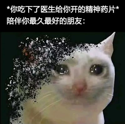 这张梗图上方有文字"*你吃下了医生给你开的精神药片* 陪伴你最久最好的朋友："，下方是一只白猫的特写。猫的左侧脸部呈现出像素化分解的效果，仿佛正在消失。图片通过这种视觉表现暗示所谓的"最好朋友"可能是服药前的幻觉，服药后幻觉消失。
