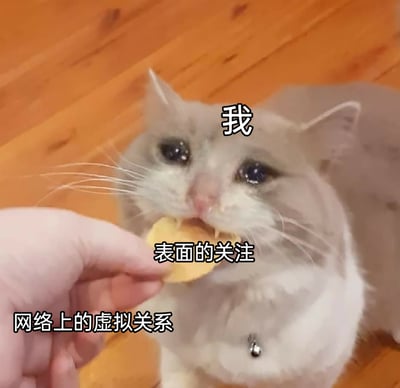 这是一张经过文字加注改编的静态表情包，画面中一只双眼含泪、神情委屈的猫（标注为“我”）正在啃食一块被标注为“表面的关注”的食物，递出食物的手被标注为“网络上的虚拟关系”。整张图用拟人化的方式，生动地描绘了人们在网络虚拟社交关系中的状态：即便内心充满委屈与失落，依然被动地接受着来自虚拟关系中并非真心的、流于表面的关注，精准地传递出在网络社交中感受到的疏离感与无奈情绪，容易引发人们对虚拟社交现状的共鸣。