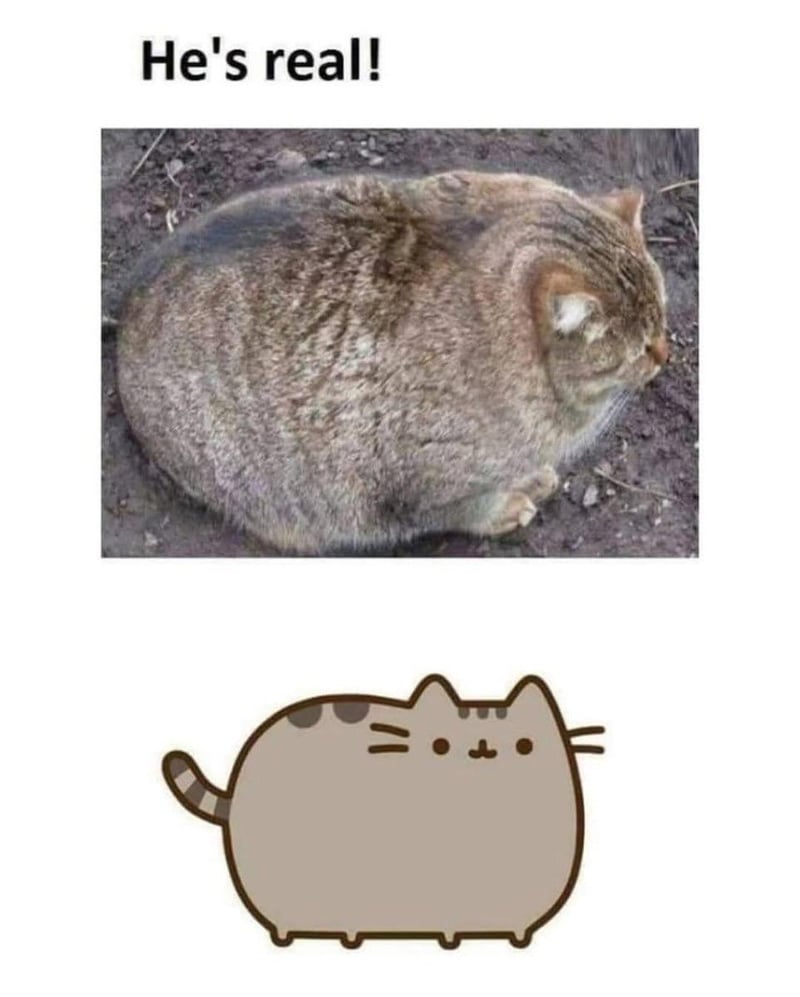 Pusheen the Cat