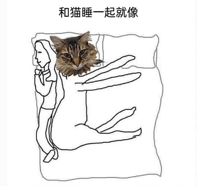 这是一张趣味搞笑梗图，顶部配有文字‘和猫睡一起就像’。画面以简洁线稿呈现出一位养猫主人被挤在床铺的最边缘，仅能占据极小的一块空间，身体紧贴床沿；而床铺的大部分区域被一个头部替换为真实猫咪的人形占据，猫咪表情淡定，仿佛理所当然地霸占着床位。该图生动形象地调侃了养猫人群与猫咪同床共眠时，猫咪会抢占大部分睡眠空间，主人只能蜷缩在角落的真实日常，精准戳中养猫人的生活体验，充满诙谐与共鸣感。