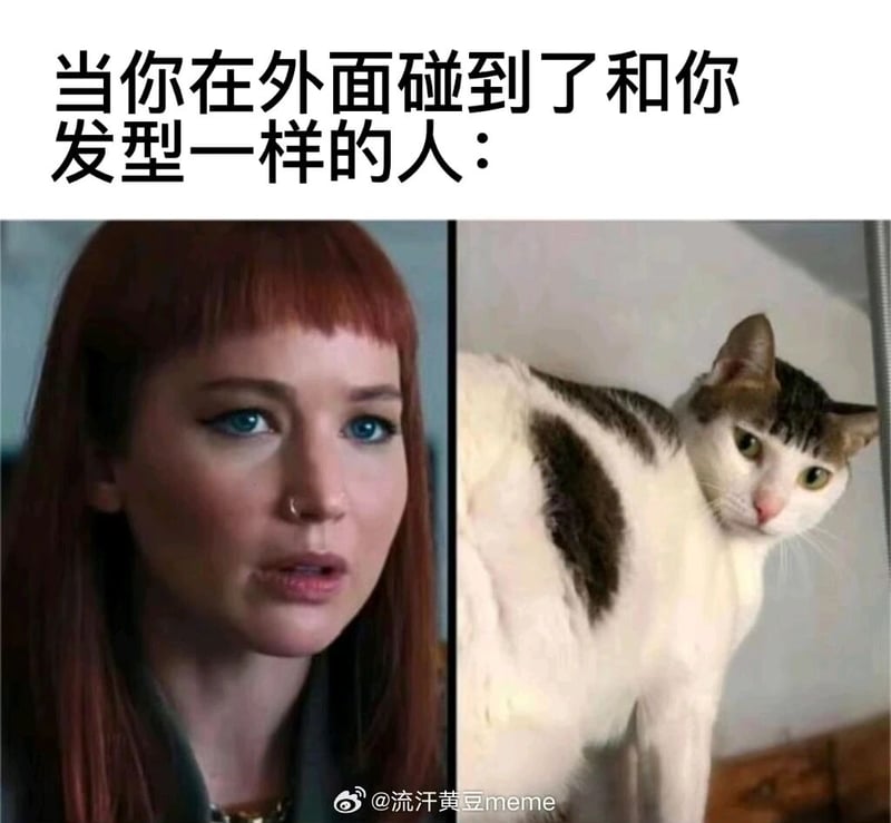 《X战警》系列影视作品