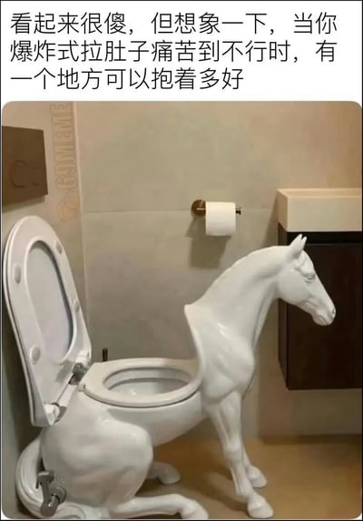 这是一张顶配底文的趣味梗图，顶部配文调侃造型奇特的马形马桶看起来很傻，但当人拉肚子难受的时候，抱着马桶的马身前半部分会很实用。下方实拍的卫生间场景里，坐便器被设计成半蹲的白马形态，马的后半部分是常规的马桶坐圈和开盖结构，旁边还有卷纸架、洗手台等常规卫浴设施，荒诞的创意设计搭配贴近生活痛点的配文，趣味性很强。