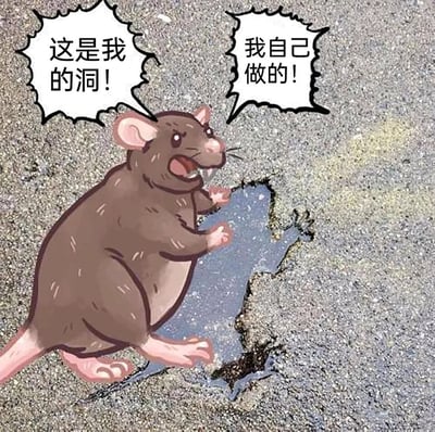 这是一张荒诞搞笑的卡通梗图，画面中一只棕色的卡通老鼠站在带有自然裂缝的水泥地面旁，双手扒在裂缝边缘，表情激动地叫嚷着“这是我的洞！”“我自己做的！”，强行将原本就存在的地面裂缝认作是自己挖掘出来的洞穴，用这种无厘头的碰瓷式认领行为，制造出滑稽的反差感，用来调侃那些强行将不属于自身的成果占为己有的行为，或是单纯以荒诞内容博人一笑。