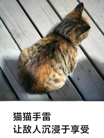 图片上半部分为一只玳瑁猫蜷缩着身体趴在木质地板上的俯拍视角，猫咪背部毛色呈棕黑相间的玳瑁花纹，尾巴收起，姿态放松。图片下半部分配有黑色文字：“猫猫手雷 让敌人沉浸于享受”。通过猫咪圆润蜷缩的外形与“手雷”的形态联想，制造出“可爱攻击”的幽默效果，暗示猫咪的萌态能让“敌人”（如主人）沉浸在撸猫的享受中而“无力抵抗”。