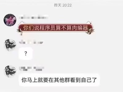 这是一张即时通讯软件的群聊记录截图，时间显示为“昨天20:22”。第一位群成员发送了一条带有装饰边框的提问：“你们说程序员算不算肉编器”，这里运用了谐音梗，“肉编器”谐音“编译器”，将程序员调侃为“人肉编译器”，以此打趣程序员日常处理代码、转换代码的工作性质。第二位群成员先是回复了一个问号，表达出对这个梗的疑惑或是觉得该梗比较冷，随后又回复“你马上就要在其他群看到自己了”，这是群聊中常见的调侃，意指这段对话内容会被截图转发到其他社交群中，是对这类趣味梗传播方式的调侃。