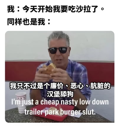 这张梗图通过上下对比的方式，幽默地展现了人们立志健康饮食却又忍不住享受垃圾食品的矛盾心理。上方文字写着"我：今天开始我要吃沙拉了。同样也是我："，下方是一位戴墨镜的男子正在大口吃汉堡的照片，照片上叠加文字"我只不过是个廉价·恶心·肮脏的汉堡舔狗"，并配有英文翻译。这种强烈的自我调侃和反差萌戳中了很多人减肥路上的痛点。