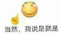 当然，我说是就是