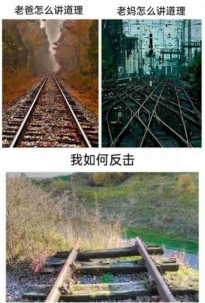 这是一张由三张图片拼接而成的搞笑梗图，用不同的铁轨状态来比喻家庭中爸妈讲道理和自己反击的不同沟通状态：第一张图是笔直延伸的铁轨，对应老爸讲道理时逻辑清晰、直来直去，方向明确，能让人清楚get到核心观点；第二张图是交错复杂的铁轨枢纽，对应老妈讲道理时逻辑绕来绕去，各种观点和话题交织在一起，让人难以理清头绪；第三张图是中断在野外的废弃铁轨，对应自己的反击方式——直接切断对话，让爸妈的道理无法继续输出，以一种摆烂式的方式结束争论，精准还原了很多家庭里的日常沟通场景，充满趣味与共鸣感。