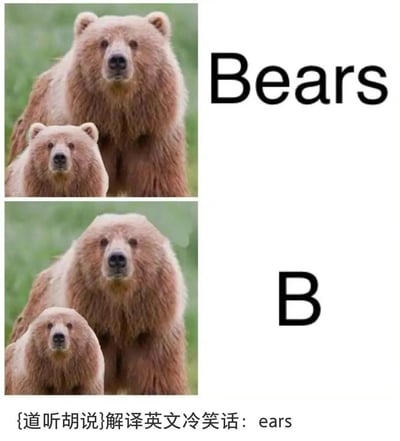 本图通过两张棕熊的照片和“Bears”以及“B”的组合，展现了一个英文冷笑话。上半部分为两只熊配上单词“Bears”，下半部分只剩“B”，突显出将“Bears”去掉“B”后剩下“ears”（耳朵），实际上谐音为“熊”没了B变成‘耳朵’。底部还有中文注解强化这个冷笑话解释。该梗是一个英语双关文字游戏，利用了英文单词的结构和发音梗，引发冷幽默感。