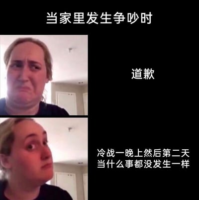 这是一张上下分栏的图文梗图，顶部标注文字‘当家里发生争吵时’，以此引出两种不同的应对方式：上半部分左侧是一位皱着眉头、面露委屈纠结的女性，右侧搭配文字‘道歉’，代表主动道歉的处理态度；下半部分左侧是该女性扭头、眼神睁大，表情带着不服与回避，右侧搭配文字‘冷战一晚上然后第二天当什么事都没发生一样’，代表回避直面问题、用冷战翻篇的处理态度。整张图通过生动的表情和贴近生活的文字，幽默地展现了家庭争吵后常见的两种应对模式，容易引发网友的共鸣。
