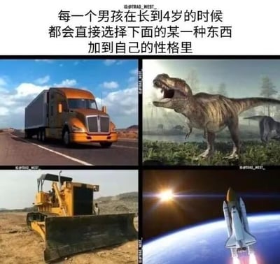 这是一张四格拼接梗图，顶部文字幽默地声称“每一个男孩在长到4岁的时候都会直接选择下面的某一种东西加到自己的性格里”。四格图片分别展示：左上为橙色卡车行驶在公路上，右上为霸王龙恐龙站立在史前草原，左下为黄色推土机在荒漠作业，右下为航天飞机从地球发射。图片通过夸张的刻板印象，调侃小男孩普遍对大型机械、恐龙和航天等事物的浓厚兴趣，营造轻松搞笑的氛围。