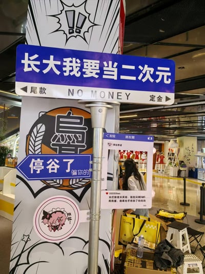 这是一个线下二次元主题活动的打卡立牌装置，整体风格玩梗向，精准戳中二次元爱好者买周边的痛点：
1. 顶部蓝底白字标语「长大我要当二次元」，下方白底栏写着「◀尾款  NO MONEY  定金▶」，调侃为了买二次元周边付定金、补尾款导致钱包空空的现状。
2. 左侧蓝底箭头牌写着「停谷了 骗你的」，玩「停谷（停止买周边谷子）又忍不住复购」的梗。
3. 还有模仿朋友圈界面的打卡框，配文「又打游戏又买谷，钱包只剩5块5...妈妈酱，我再也不吃谷了呜呜呜」，用夸张的语气表达买谷后的钱包空空的无奈。

谐音梗说明：「谷」是二次元圈的谐音梗，是「goods（周边商品）」的谐音，「吃谷」指代购买二次元周边。