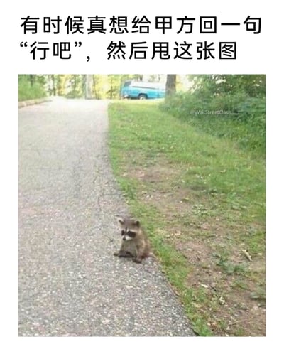 这是一张职场吐槽类的二次创作图文内容，上方配有文字“有时候真想给甲方回一句‘行吧’，然后甩这张图”，下方是一张户外实拍照片：一只小浣熊蔫蔫地坐在路边的路面上，表情低落丧气，神态完美契合了职场乙方在面对甲方各种要求时，不得不妥协答应，但内心充满憋屈、无奈与丧气的情绪，用动物的状态生动具象化了职场人的这种心境，很容易引发职场从业者的共鸣。