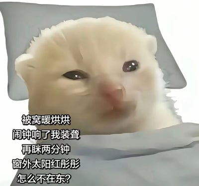 整张图是一张搞笑表情包，主体是一只米白色的仓鼠，正半睁着眼睛、神态茫然睡眼惺忪地窝在灰色被子里，头靠在后方的灰色枕头上，呈现出不想起床、还没睡醒的状态。图片左下角搭配了一段押韵的打油诗，内容为“被窝暖烘烘，闹钟响了我装聋，再眯两分钟，窗外太阳红彤彤，怎么不在东？”，生动吐槽了人赖床时假装听不到闹钟，打算多睡一小会结果直接睡过头、太阳都转到西边的场景，精准贴合当代上班族、学生党不想起床的日常心态，诙谐有趣很有共鸣感。