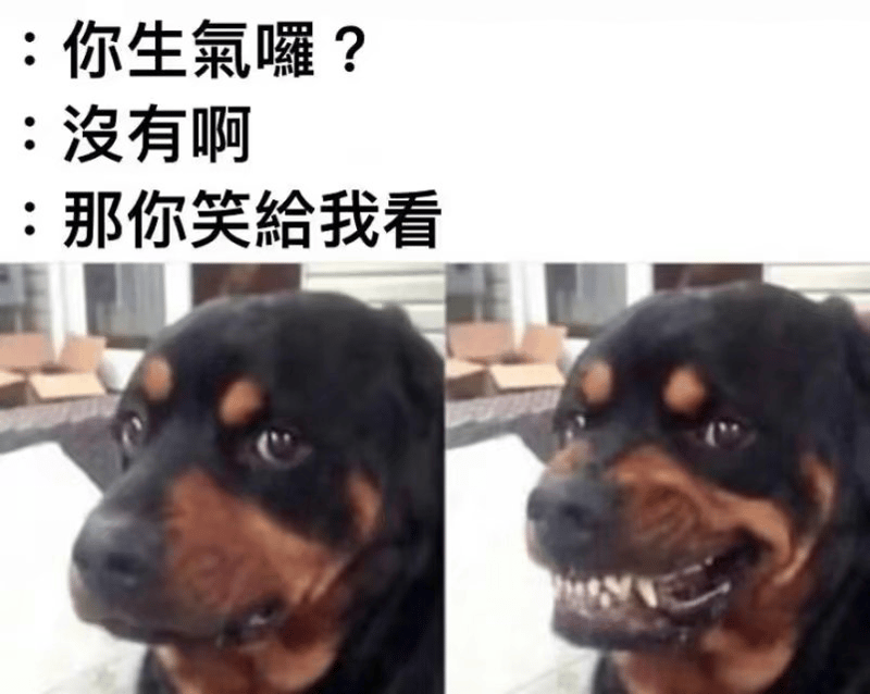 罗威纳犬