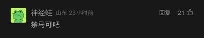 这是一张深色背景的社交媒体评论截图，左上角是绿色背景的卡通青蛙头像，青蛙表情郁闷，嘴角下撇、眼睛半睁。头像旁显示评论用户昵称“神经蛙”、所在地“山东”以及发布时间“23小时前”。下方的评论内容为“禁马可吧”，这里的“马可”指MOBA游戏《王者荣耀》中的射手英雄马可波罗，通常是玩家因该英雄强度过高、对局中难以应对，提议在排位赛等模式禁用该英雄。截图右侧设有“回复”按钮和显示为21的点赞标识，说明该评论获得了21位用户的点赞支持。