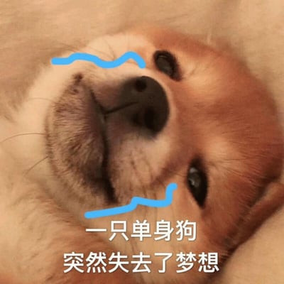 一张柴犬躺着的照片，脸上被画上了蓝色的悲伤线条，下方配有文字'一只单身狗 突然失去了梦想'，使用了'单身狗'的双关语，指单身的人。