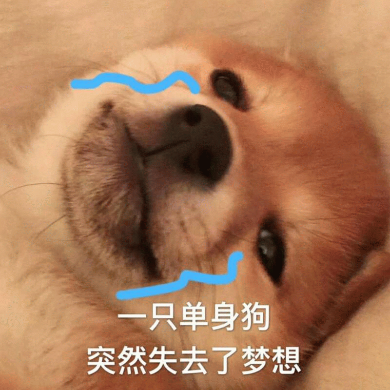 一只单身狗突然失去了梦想