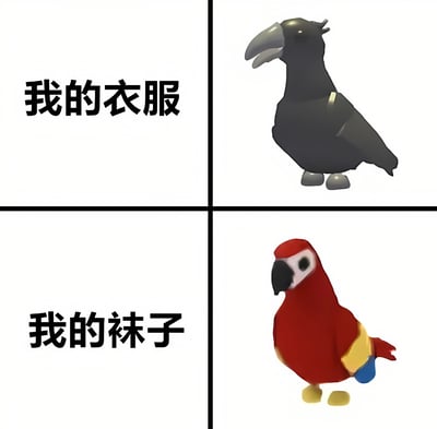 这是一张四格对比图，左上角写着“我的衣服”，对应右上角的黑色小鸟；左下角写着“我的袜子”，对应右下角的彩色鹦鹉。通过图文结合的方式，幽默地将衣物与不同颜色的鸟类进行对比。