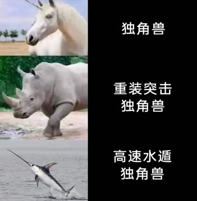 这是一张由三张独立图片垂直拼接而成的趣味恶搞图，通过将现实中带有突出角状结构的动物，结合“独角兽”的核心特征进行创意命名。从上至下：第一张是头部带有独角的白色马匹，右侧配文“独角兽”，对应大众认知中的经典独角兽形象；第二张是体型厚重、带有多角的犀牛，右侧配文“重装突击独角兽”，调侃犀牛的敦实外形如同重装武装的独角兽；第三张是跃出水面的剑鱼，其长吻如同独角，右侧配文“高速水遁独角兽”，结合剑鱼的水生高速游动特性，调侃它是擅长水中移动的独角兽。整体内容以幽默的方式解构“独角兽”的概念，属于网络常见的动物梗恶搞创作。