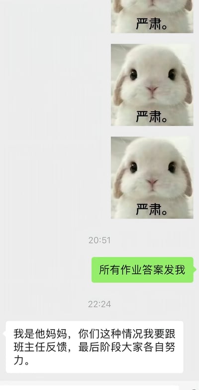 这是一张聊天记录形式的趣味梗图，上方先发了三张完全相同的垂耳兔萌图，每张都配有文字“严肃。”，营造出郑重的氛围；随后聊天另一方发来消息索要所有作业的答案，间隔一个多小时后，发表情包的一方伪装成索要答案同学的家长回复，称要把索要作业答案的事反馈给班主任，让大家最后阶段各自努力，用这种开玩笑的方式巧妙且强硬地回绝了对方索要作业答案的不合理请求，充满笑点，实用性和趣味性兼具。