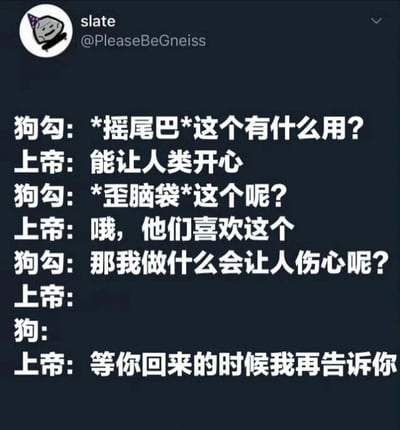 这是一张社交媒体截图，内容为狗勾与上帝的对话。狗勾天真地询问摇尾巴和歪脑袋的作用，上帝回答这些能让人类开心；当狗勾问做什么会让人伤心时，上帝以“等你回来的时候我再告诉你”回应，暗示了狗狗离世会带给人类悲伤，整体氛围温馨中带着一丝伤感。