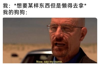 这是一张结合生活化养宠场景与经典影视片段的搞笑梗图。上方用中文配文设定场景：主人犯懒想要某样东西，却懒得自己去拿，寄希望于狗狗帮忙；下方是美剧《绝命毒师》主角沃尔特·怀特的经典截图，他表情严肃、气场强大，配文“Now, say my name.”（译为“现在，说出我的名字。”），以此代入狗狗的视角，将狗狗想让主人喊它名字才肯帮忙的小傲娇，用大佬的强势姿态夸张呈现，通过严肃的影视气场和日常养宠场景的强烈反差，制造出滑稽搞笑的效果，精准戳中养宠人与宠物互动的趣味瞬间。